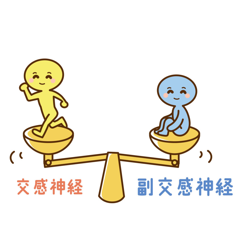 自律神経のバランス