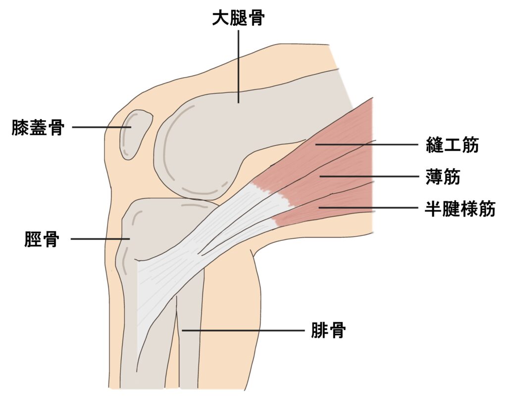鵞足炎
