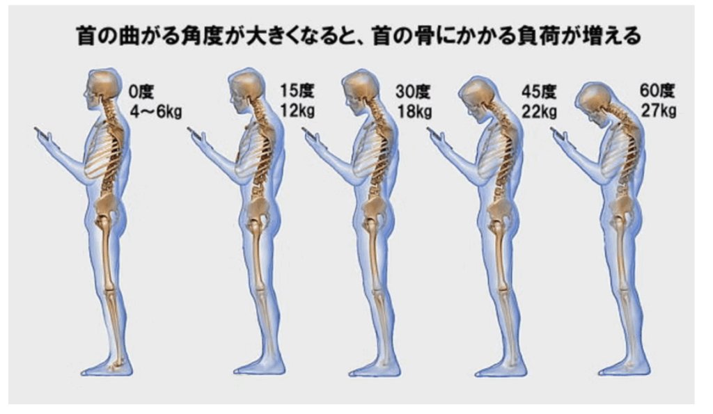 頭部の重さ