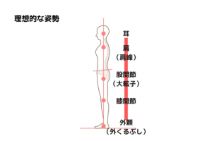 正しい姿勢